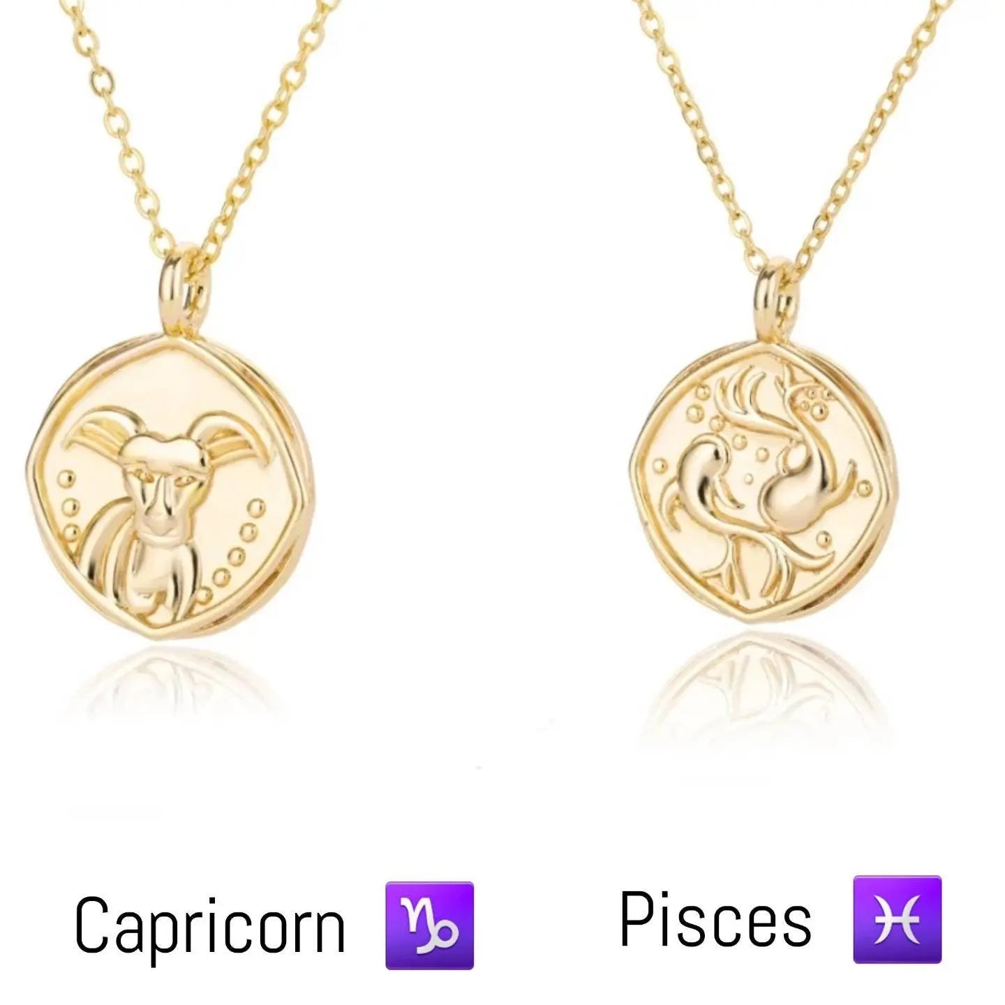 Astrology Zodiac Necklace in 14k Gold | Horoscope Zodiac Pendant Coin Medallion Necklace - JettsJewelers