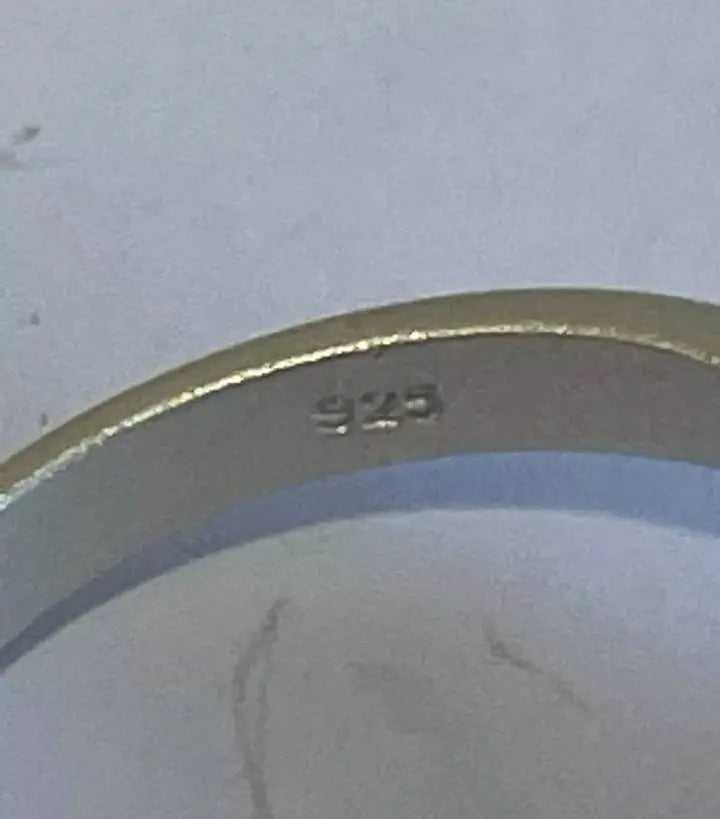 Blue Eye Whale S925 Silver Adjustable Ring - JettsJewelers