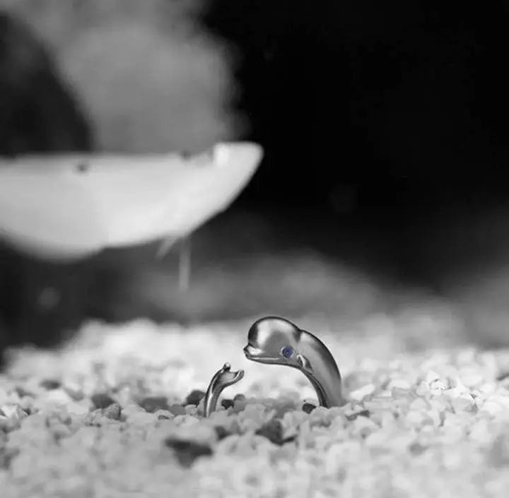 Blue Eye Whale S925 Silver Adjustable Ring - JettsJewelers