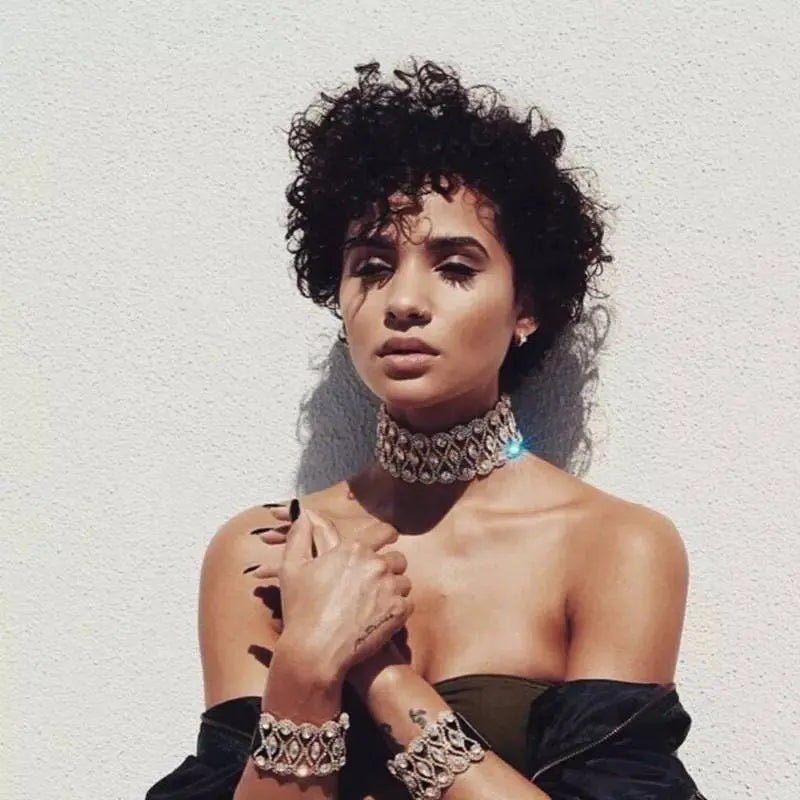 Womens Big Crystal Zirconia Hollow Collar Necklace Choker JettsJewelers