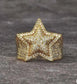 14K Gold Plated Star Iced Out CZ Simulated Diamond Flooded 3D Star Punky Rappers Ring for Men Engagement Hip Hop Jewelry - JettsJewelers